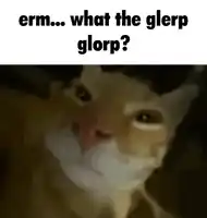 erm what the glorp