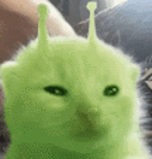pop glorp