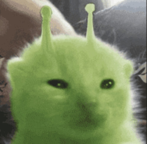 glorp live feed